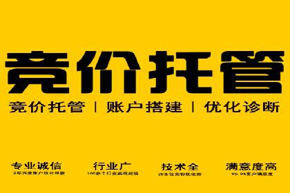 信息流广告公司案例分析：精准投放策略解析